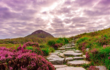 Railtours Ireland First Class Ltd.3