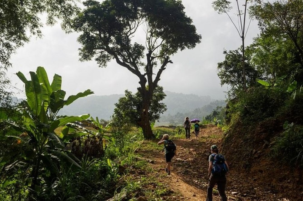 3 Day 2 Night Trekking in Mai Chau - Pu Luong