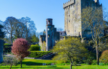 Railtours Ireland First Class8