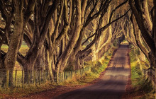 Railtours Ireland First Class2