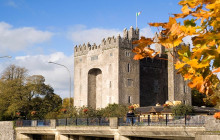 Railtours Ireland First Class2