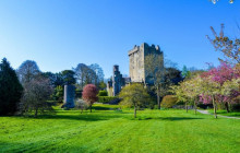 Railtours Ireland First Class1