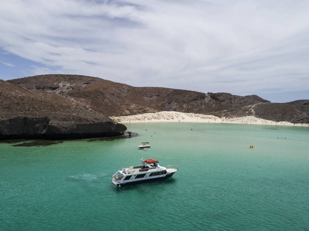 Balandra Bay Snorkeling & Sea Lion Adventure Without Transportation