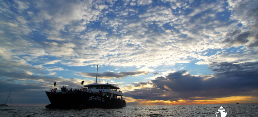 Sunset Dinner Cruise Cabo San Lucas With Transportation