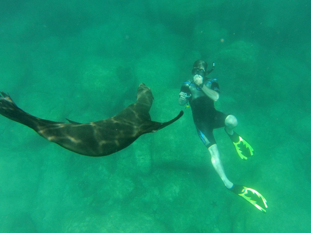 Espiritu Santo Snorkeling & Sea Lion Adventure With Transportation