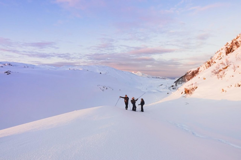 Private Snowshoe Hiking Tromso Project Expedition