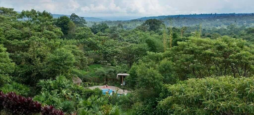 3-Day Jungle Thrills: Quick Adrenaline Adventure in Tena