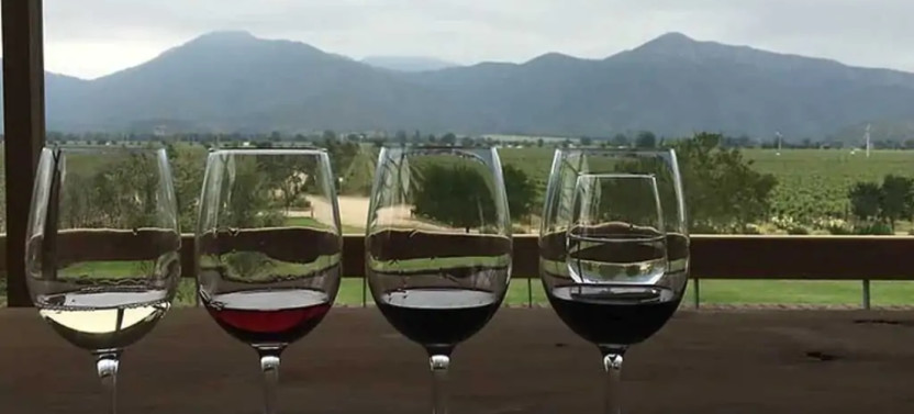 Private Wine Tour in Valparaiso