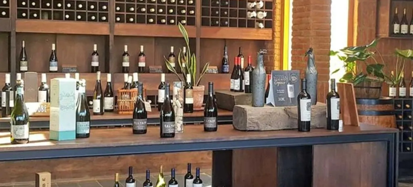 Private Wine Tour in Valparaiso