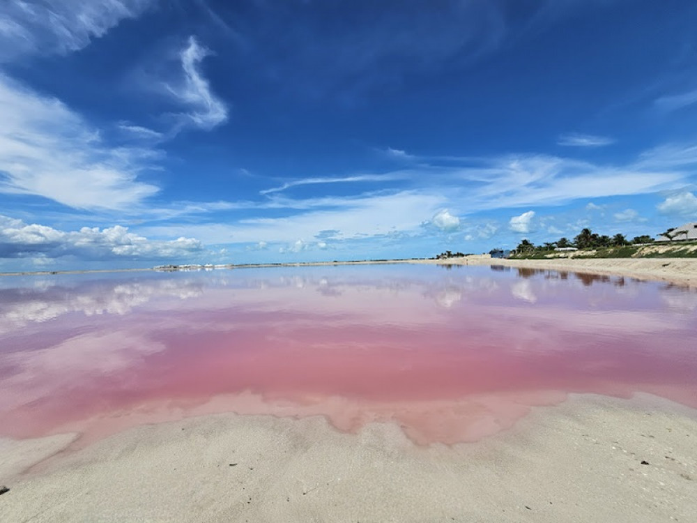 Tour of Las Coloradas & Río Lagartos with Boat Trip