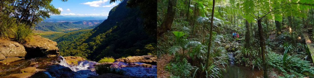 4 Days Traverse Gold Coast Hinterland Walk