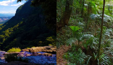 A picture of 4 Days Traverse Gold Coast Hinterland Walk