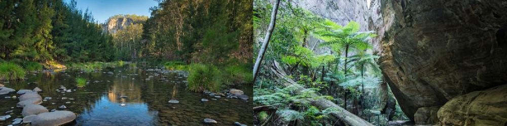 5 Days Carnarvon Gorge Walk