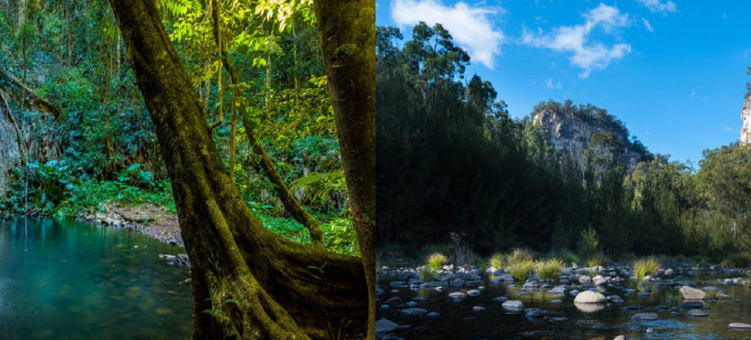 7 Days Carnarvon Gorge and Bunya Mountains Walk