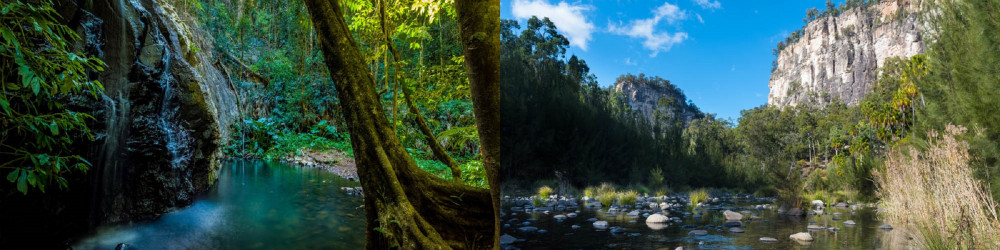7 Days Carnarvon Gorge and Bunya Mountains Walk