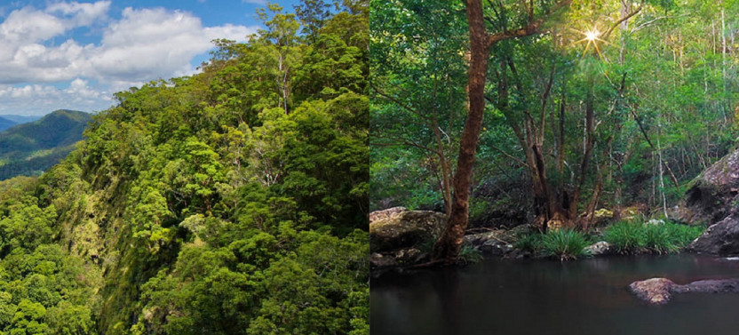 3 Days Noosa Hinterland Walk and Sunshine Coast Hinterlands Walk