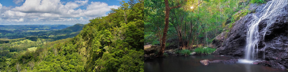 3 Days Noosa Hinterland Walk and Sunshine Coast Hinterlands Walk