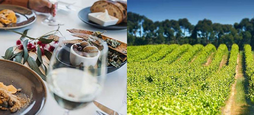 3 Day Clare Valley Wine & Wilderness Walk