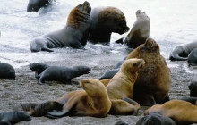 Top Private Tours2