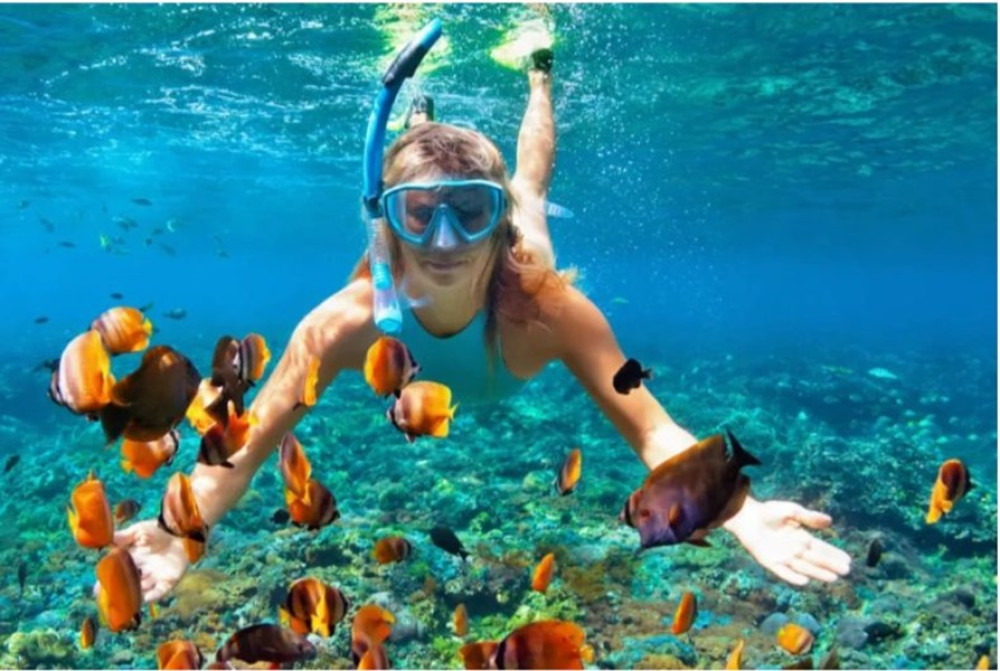 Sosua Snorkeling & Beach Relaxation Tour