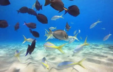 Edwin Transfers Tours10