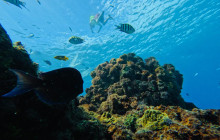 Edwin Transfers Tours11