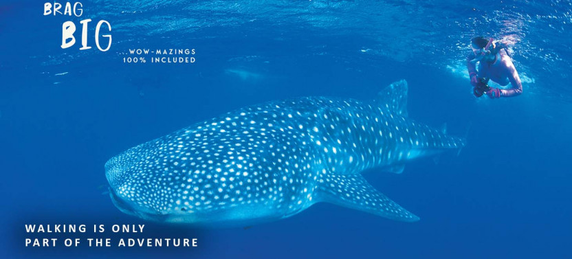 7 Day Karijini National Park Walk and Ningaloo Reef (Alternative Itinerary)