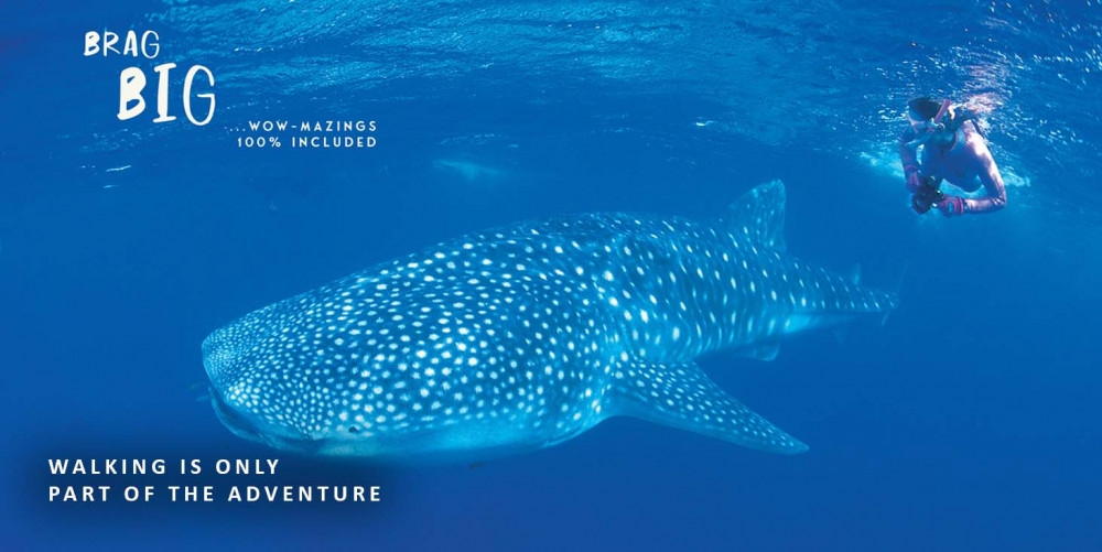 7 Day Karijini National Park Walk and Ningaloo Reef (Alternative Itinerary)