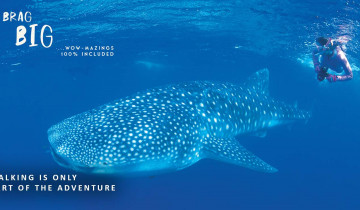 A picture of 7 Day Karijini National Park Walk and Ningaloo Reef (Alternative Itinerary)