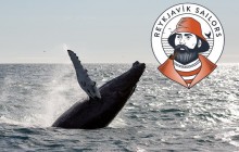 Reykjavik Sailors ehf1