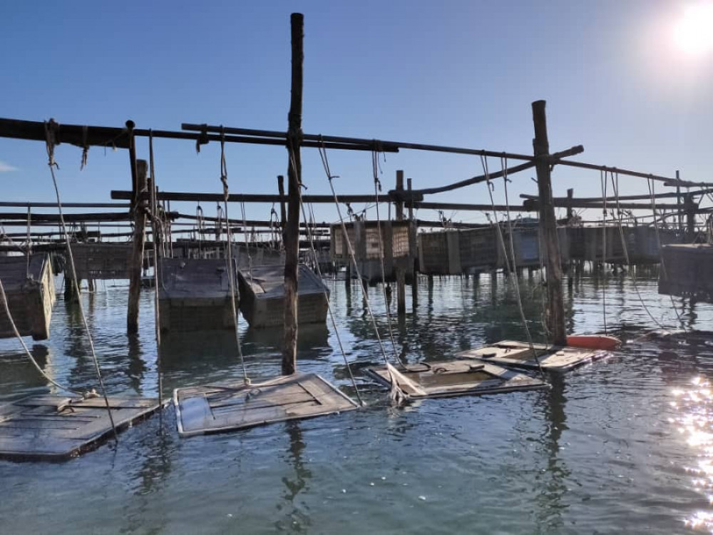 Secrets of the Lagoon: Aquaculture Tour in Chioggia