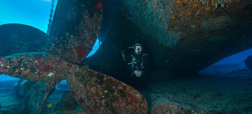 Wreck & Reef Dive