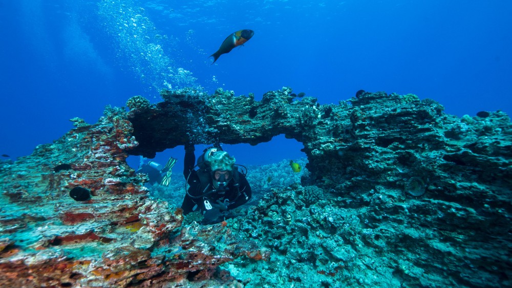 Wreck & Reef Dive - Honolulu | Project Expedition