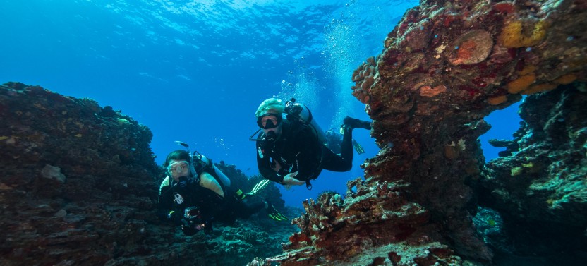 Shallow Reef Scuba Dives - No Experience Necessary!