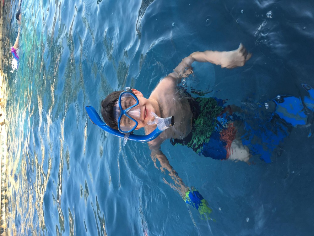 Snorkel with Nature Cruise Honolulu Project Expedition