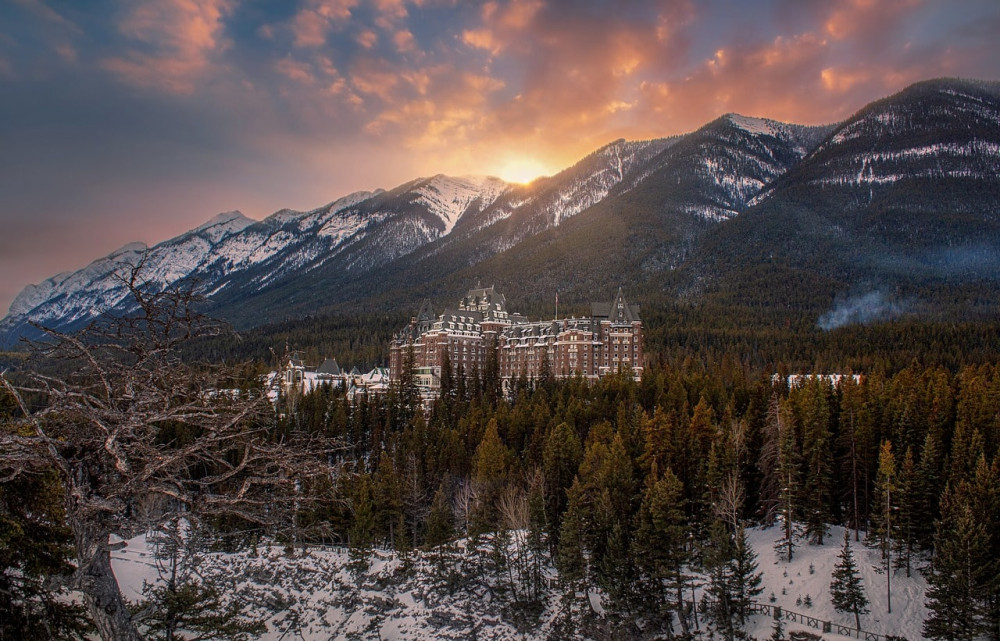 Winter Banff & Wildlife & Crazy Carpet Sleight (from Calgary)