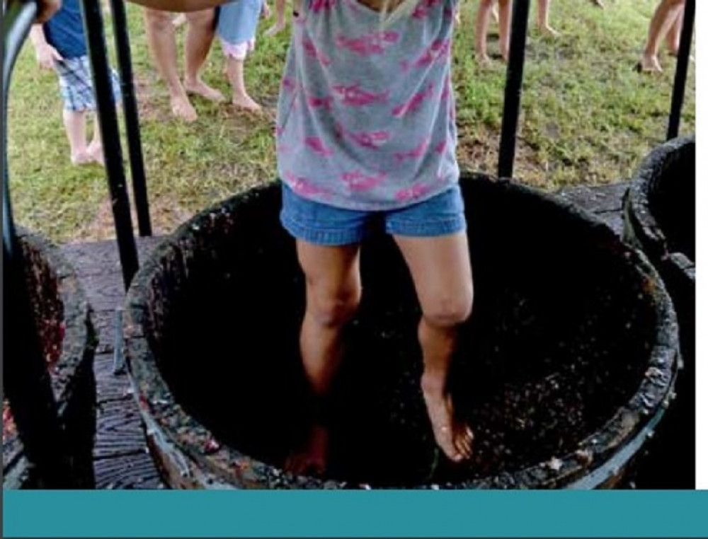 Grape Stomping for Kids