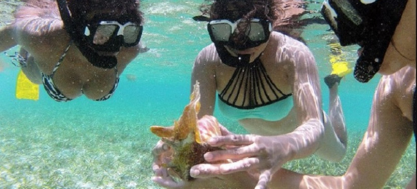 Monkey & Sloths Snorkel Adventure
