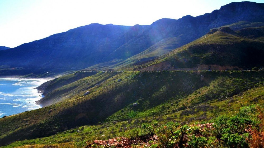 Cape Point Half Day Tour