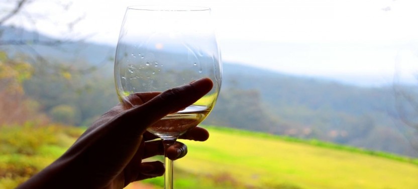 Cape Winelands Half Day Tour
