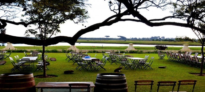 Cape Winelands Half Day Tour