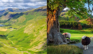 A picture of 8 Day Coast to Coast Walk England