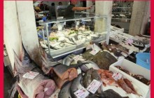 Cesarine (Home Food Srl)1
