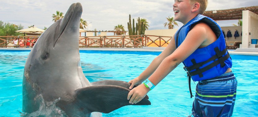 Swim & Ride Experience