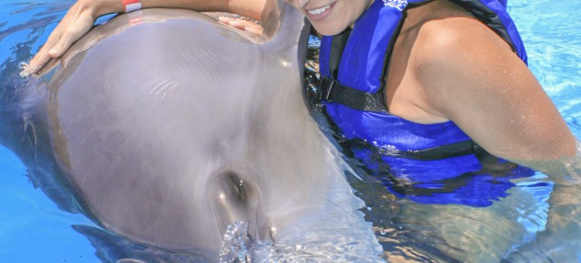 Swim & Ride Experience