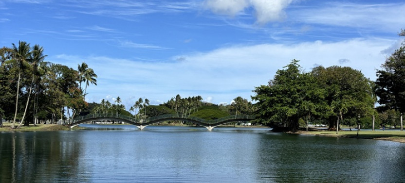 Wailoa River to King Kamehameha Statue SUP Adventure