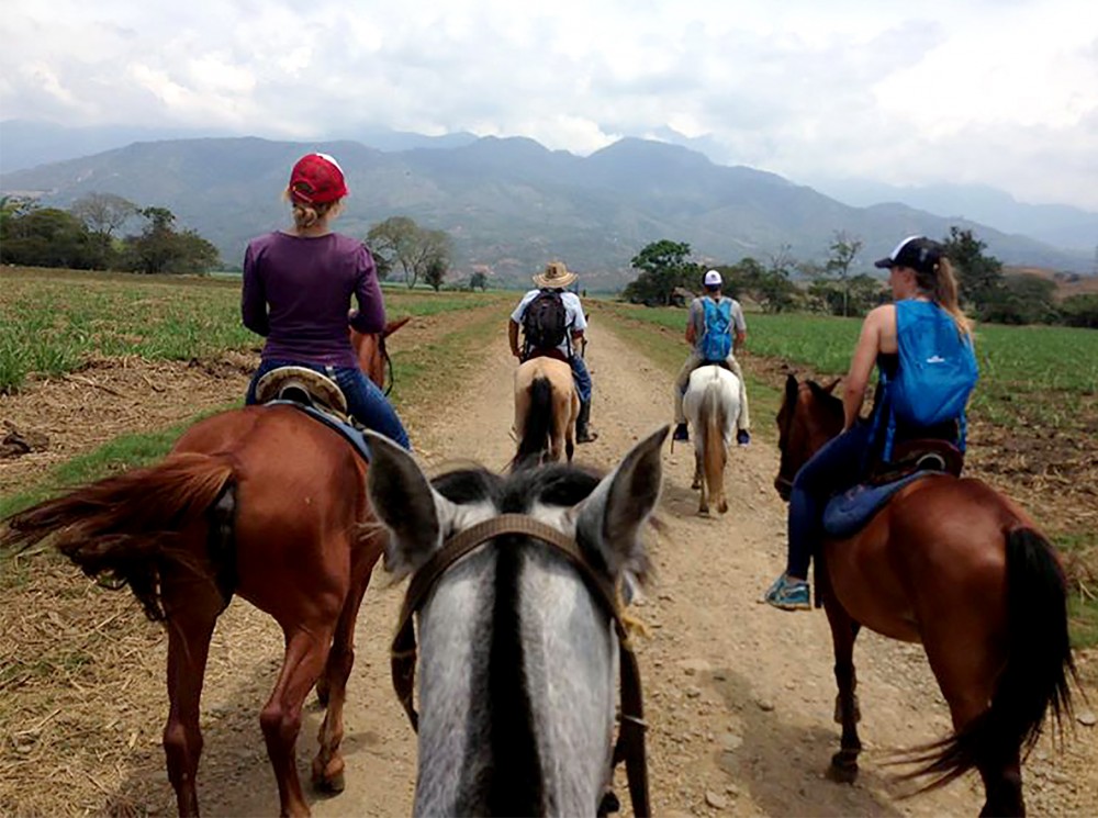 Horseback Riding - A Unique Natural Adventure On Horseback