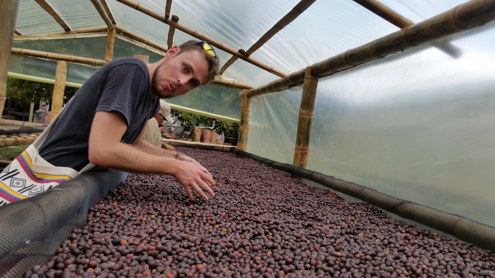 Coffee Tour - Taste & Live Authentic Colombian Coffee Experience