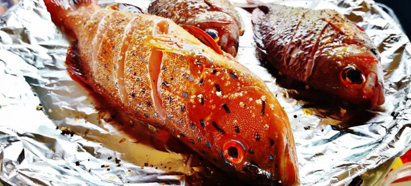 4-hr Private Fishing Charter & Cook Your Catch