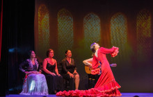 TEATRO FLAMENCO GRANADA4